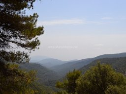 Valle de Leiva-Perdiz 2010